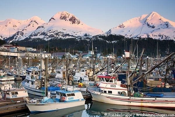 Boat Harbor, Cordova, Alaska.